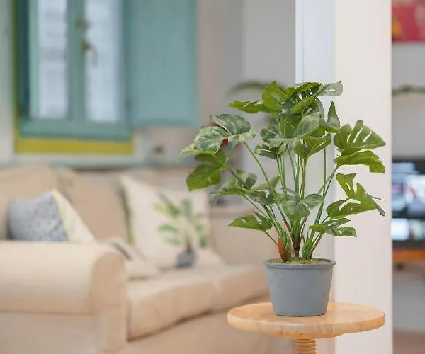 Lorien Daire Zarautz